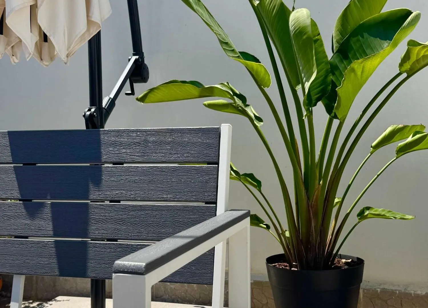 Appartamento Moro House Sferracavallo