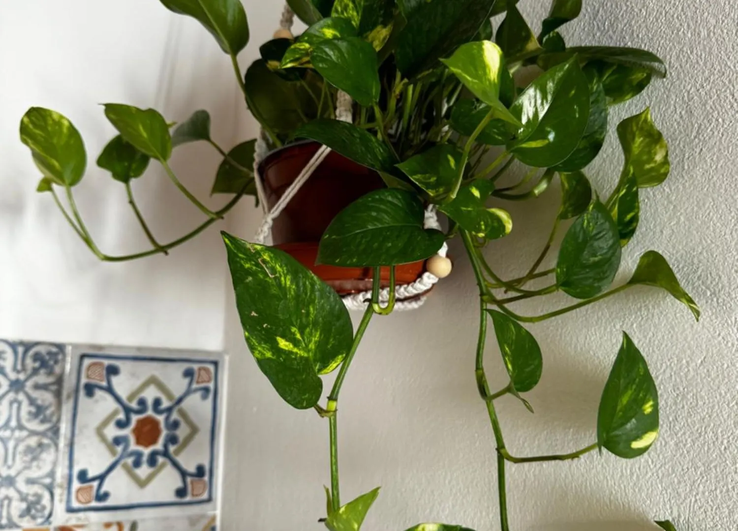 Appartamento Moro House Sferracavallo